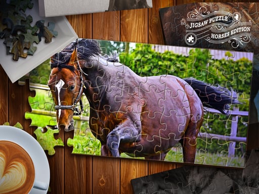 Jigsaw Puzzle Horses Edition