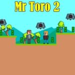 Mr Toro 2